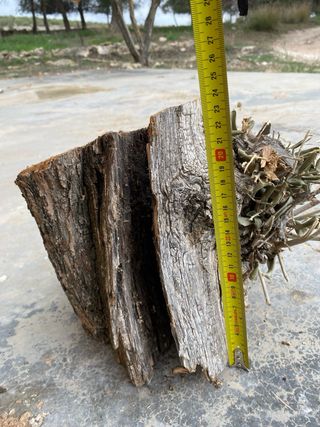 Troncos de olivo decorativos