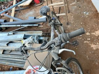 Bicicleta Montaña Gris