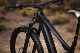 Ebike Giant Carbono 300kmCAMBIO ELECTRONICO-