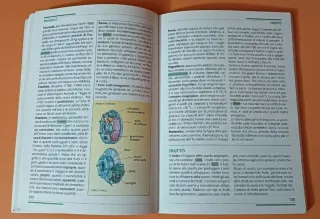 De Agostini "Le mie ricerche", 2001