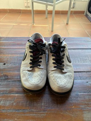 Zapatillas Nike Dunk SB Limited Edition
