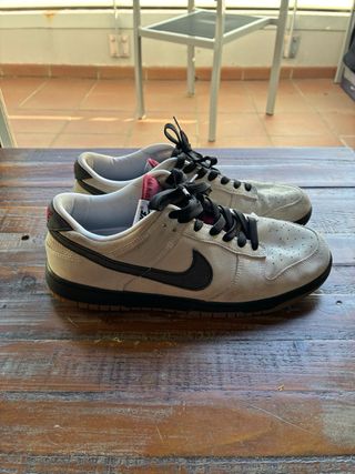 Zapatillas Nike Dunk SB Limited Edition