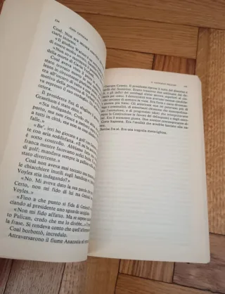 Il Rapporto Pelican / The Pelican Brief