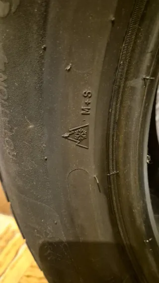 1 Neumático Michelin Pilot Alpin 5
