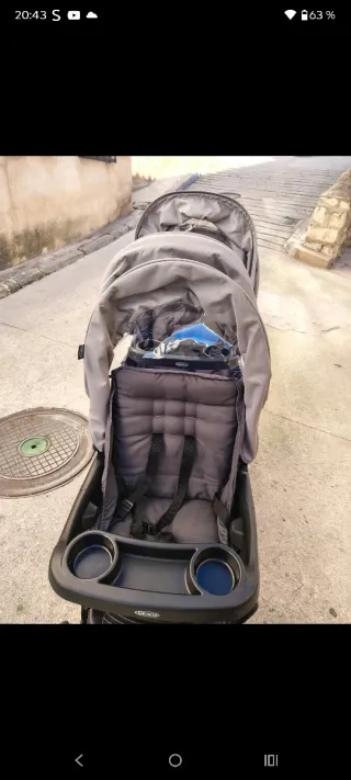 Carro Gemelar en linea