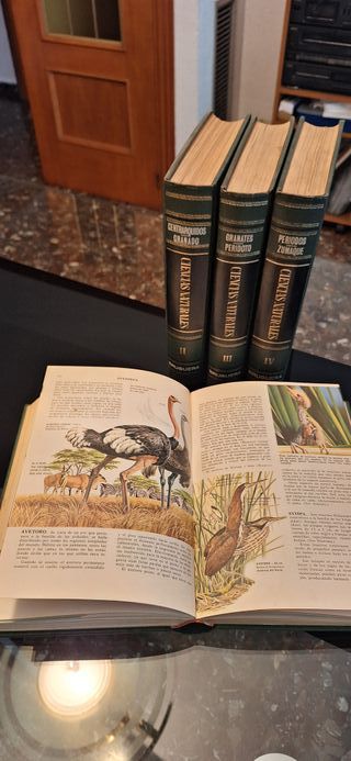 Enciclopedia Ciencias Naturales Bruguera años 60