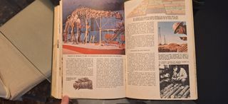 Enciclopedia Ciencias Naturales Bruguera años 60