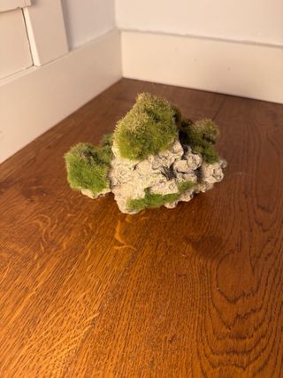 Piedra decorativa para acuario