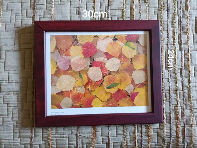 Cuadro de hojas de otoño