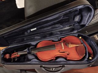 Viola Gliga Gama I - 15.5