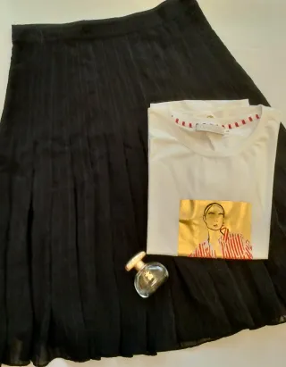 Falda Zara Negra Transparencias