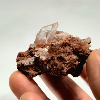 Yeso Mineral Cristales Bien Formados