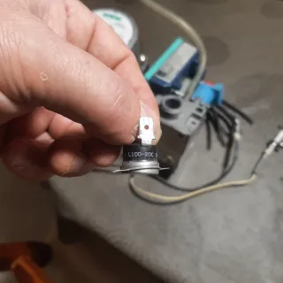 Lote repuestos Saunier Duval