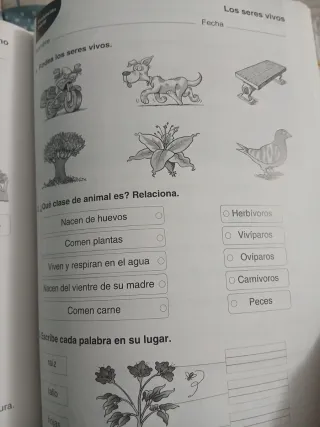 Cuaderno repaso primero primaria