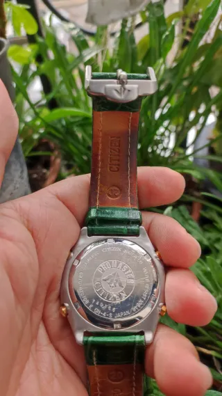 ✅Citizen Pro Master vintage