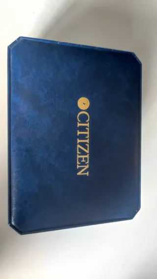 ✅Citizen Pro Master vintage