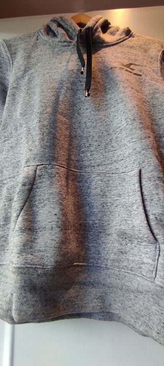 Sudadera Hollister Gris