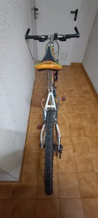 Bicicleta Orbea Zeus