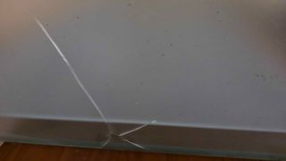 Terrario grande ULTIMO PRECIO