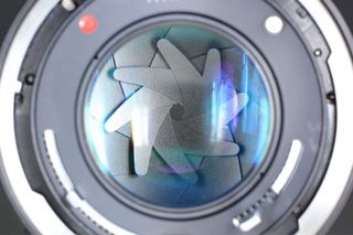 Canon F-1n SLR + Canon FD 50mm f/1.4