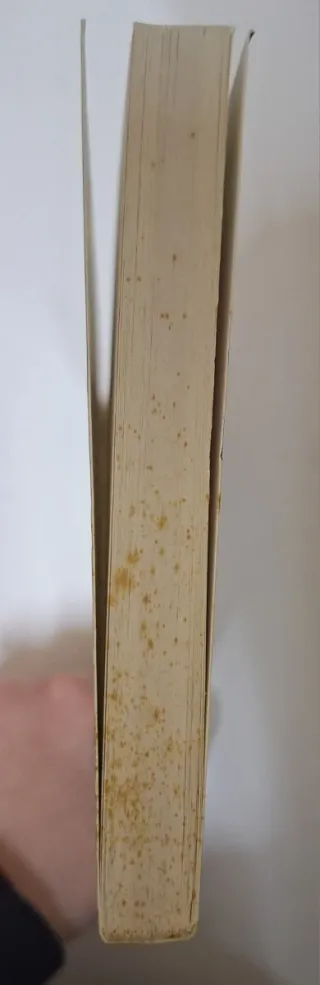 E=mc2, amor meu