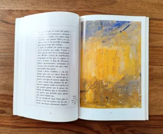 Libro / Las Artes / Los Iconos de Ferón / Nuevo