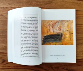 Libro / Las Artes / Los Iconos de Ferón / Nuevo