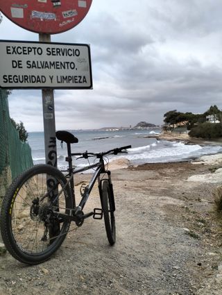 Bicicleta Cannondale Trail Six 29