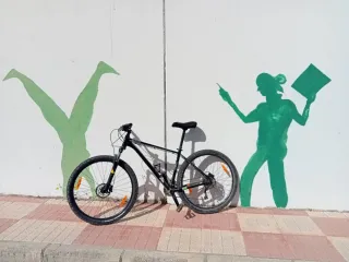 Bicicleta Cannondale Trail Six 29