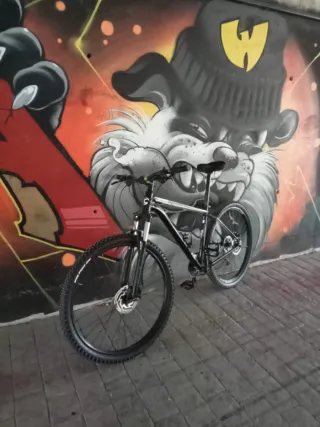 Bicicleta Cannondale Trail Six 29