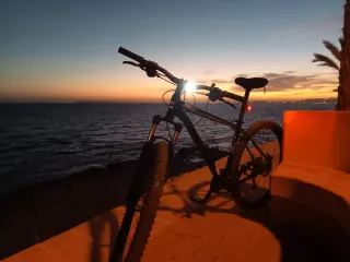 Bicicleta Cannondale Trail Six 29