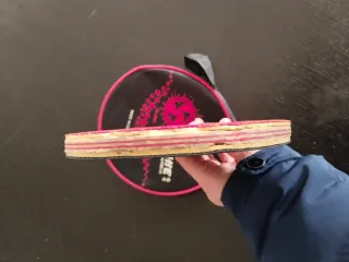 Raqueta Tenis de Mesa con funda