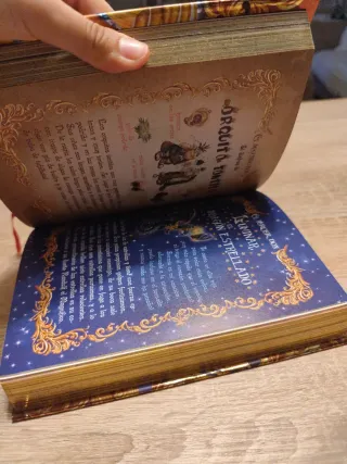 El gran regreso al Reino de la Fantasía: ¡Descu...