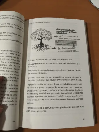 INSOMNIO CONSCIENTE: Una historia de superación...