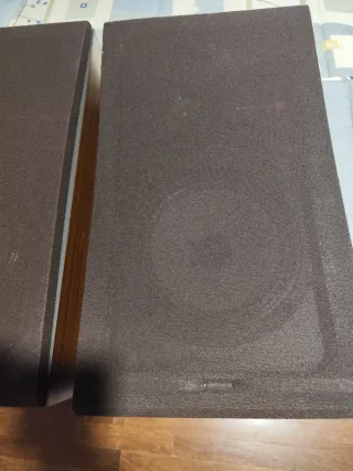 Altavoces Sony Marrones