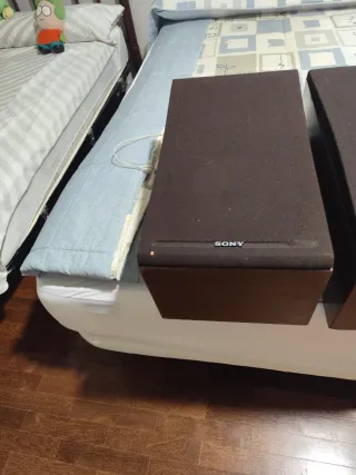 Altavoces Sony Marrones