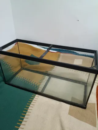 Pecera grande  de cristal negociable sin fuga