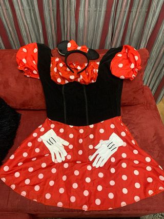 Disfraz Minnie Mouse Familia