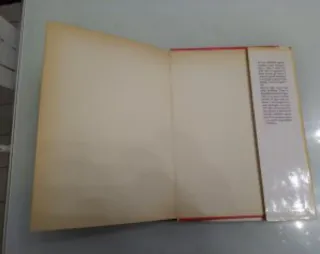 I pirati della Malesia romanzo di Salgari Piccoli