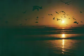 Canon FD 50mm 1:1.4 lente plata alta gama