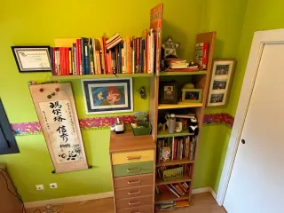 Cama tren con mueble mesa y baldas