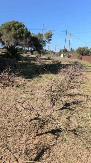 Jardiner