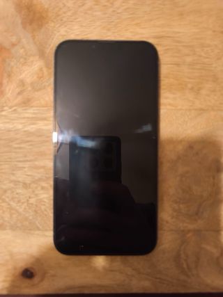 iPhone 13 Pro Max 256GB
