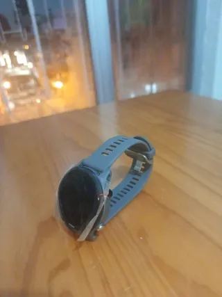 Garmin Forerunner 255