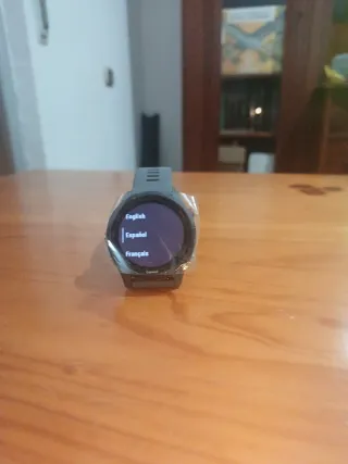 Garmin Forerunner 255