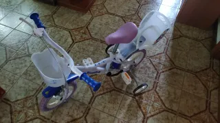 Bici bimba Frozen con cestino