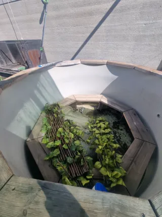 Jacuzzi de madera con detalles metálicos