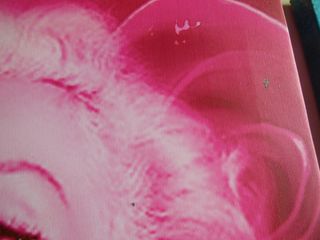 4 cuadros de Marilyn Monroe estilo Andy Warhol.