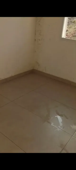 Alicatador profesional cerámica y piedra