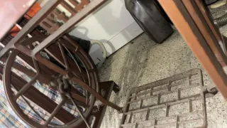 Máquina de coser Alfa